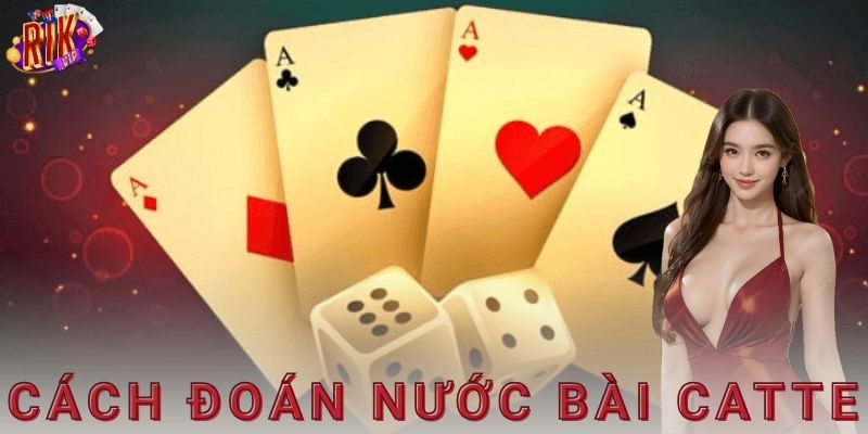 Cách đoán nước bài catte Rikvip